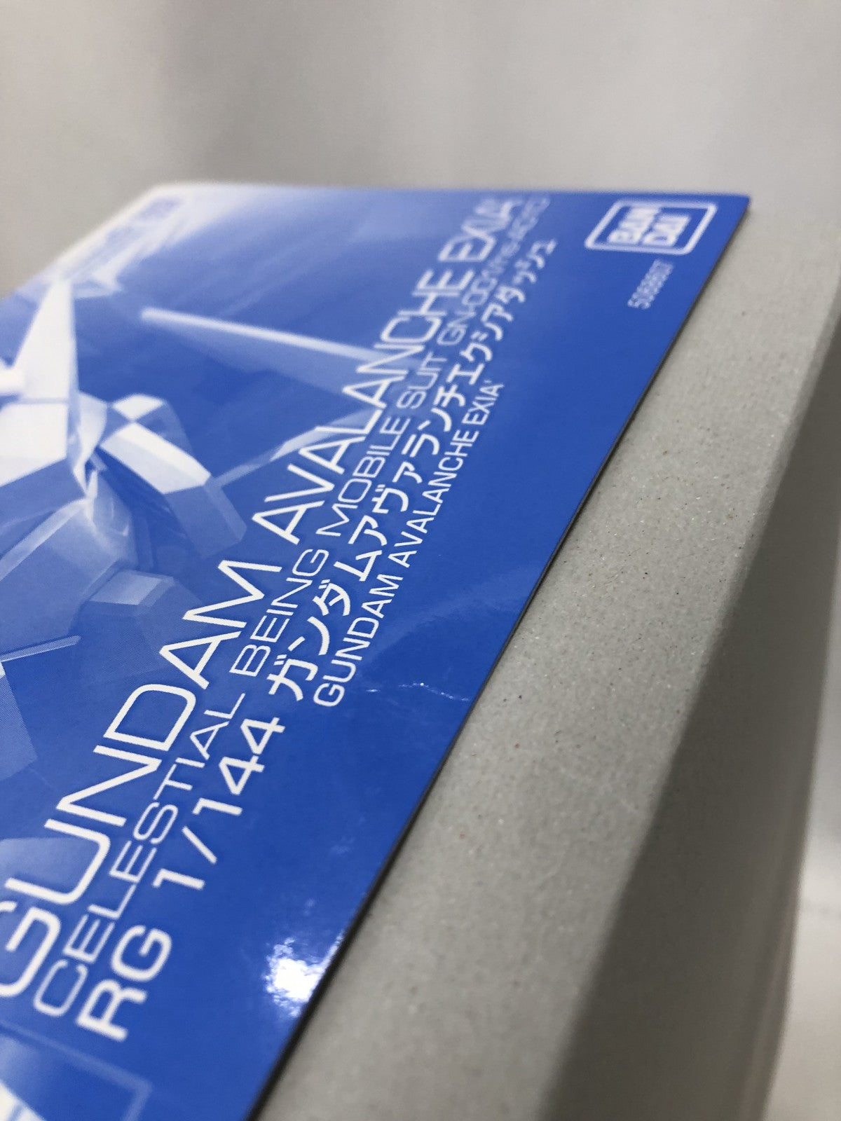 RG GN-001/hs-A01D ガンダムアヴァランチエクシアダッシュ ガンプラ