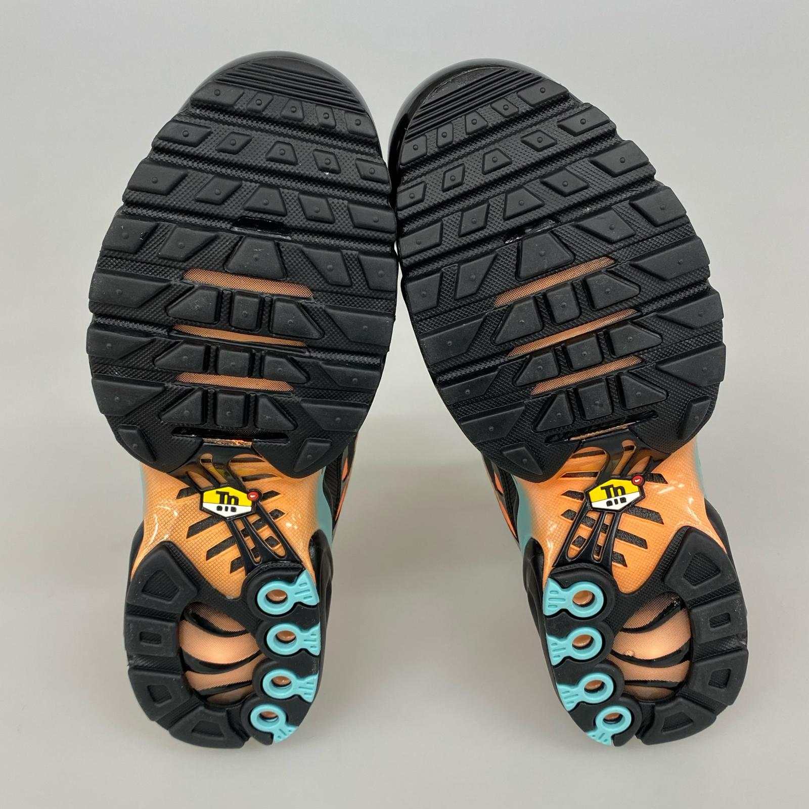 スニーカー Air Max Plus SOUTH BEACH (26cm) 26cm (US8 UK7 1/2 EU42)