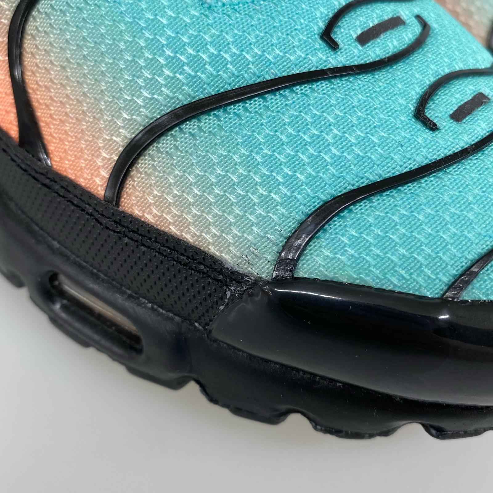 スニーカー Air Max Plus SOUTH BEACH (26cm) 26cm (US8 UK7 1/2 EU42)