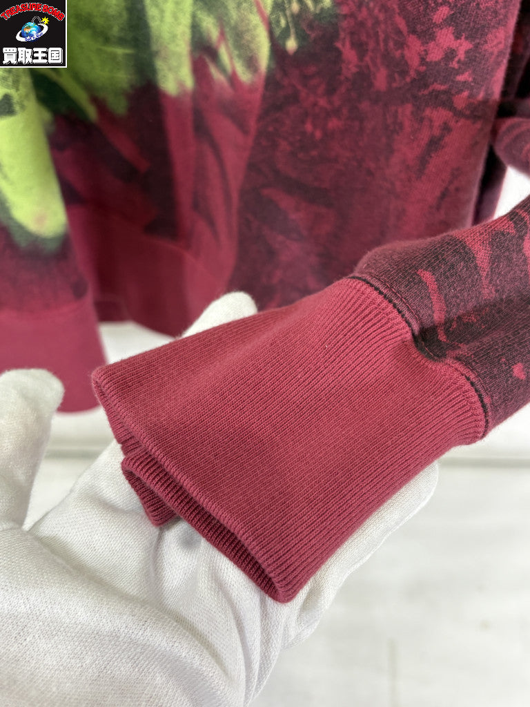 パーカー 16SS Burroughs Hooded Sweatshirt L