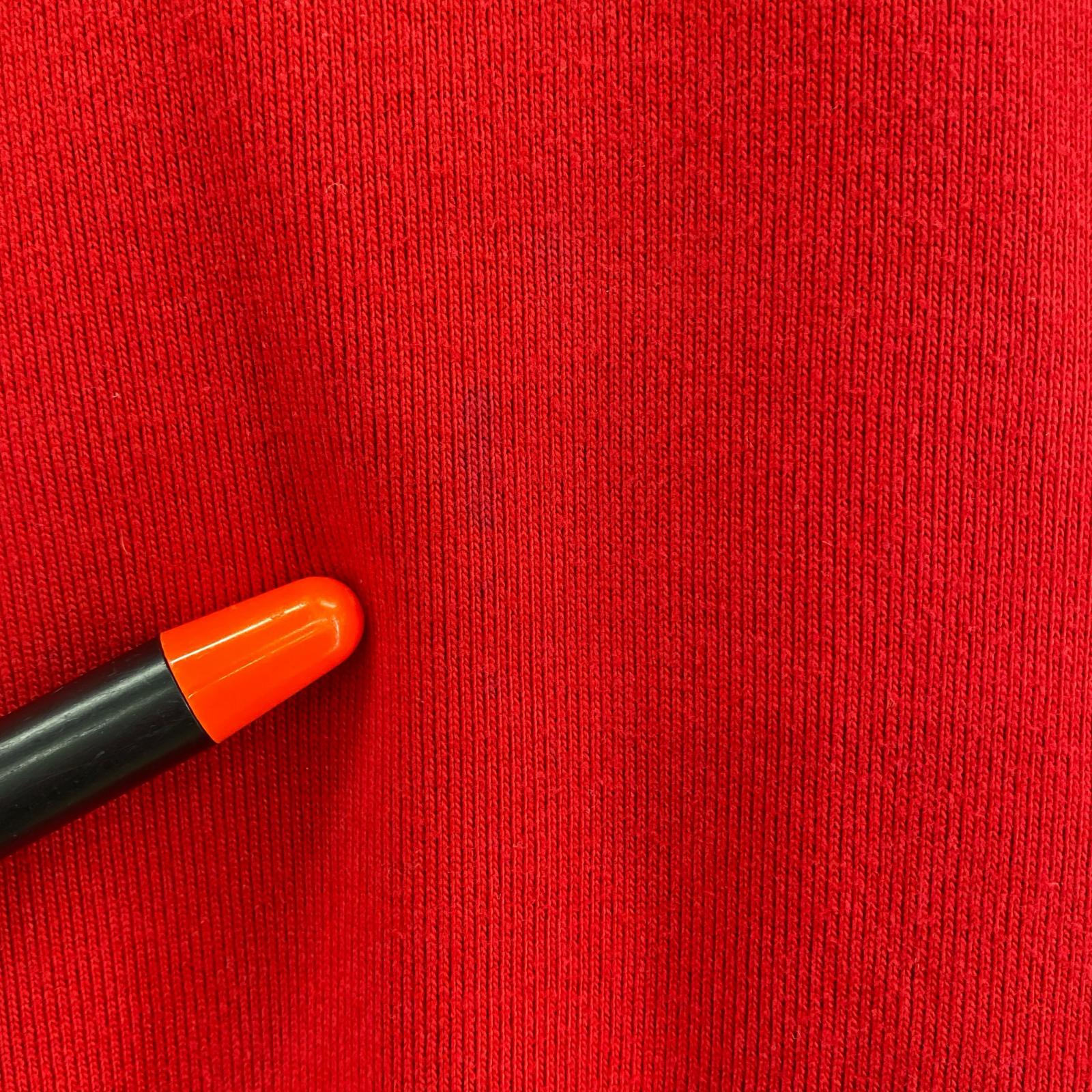 長袖Tシャツ POLO SPORT/ハーフジップ/L/RED L レッド