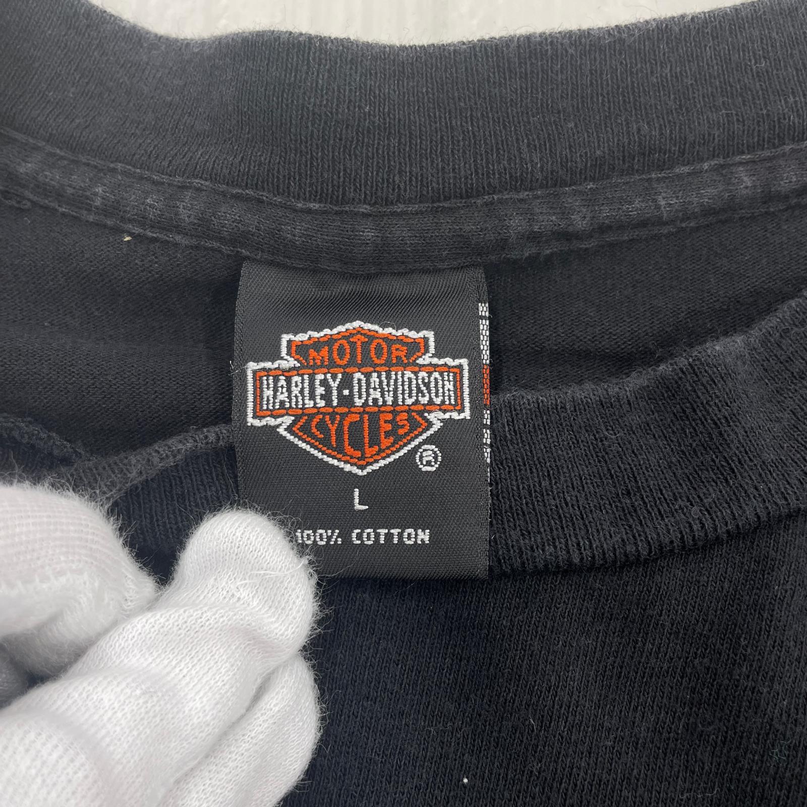 半袖Tシャツ 90s HARLEY-DAVIDSON ドラゴン L ブラック