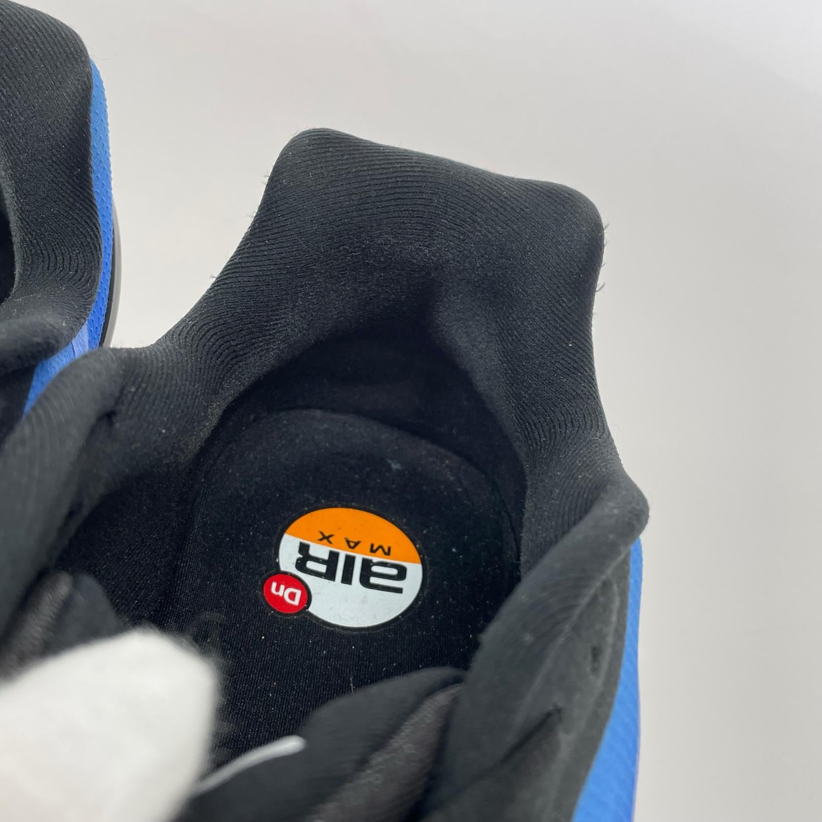 スニーカー air max hyper royal 29cm 29cm (US11 UK10 1/2 EU48) ブルー