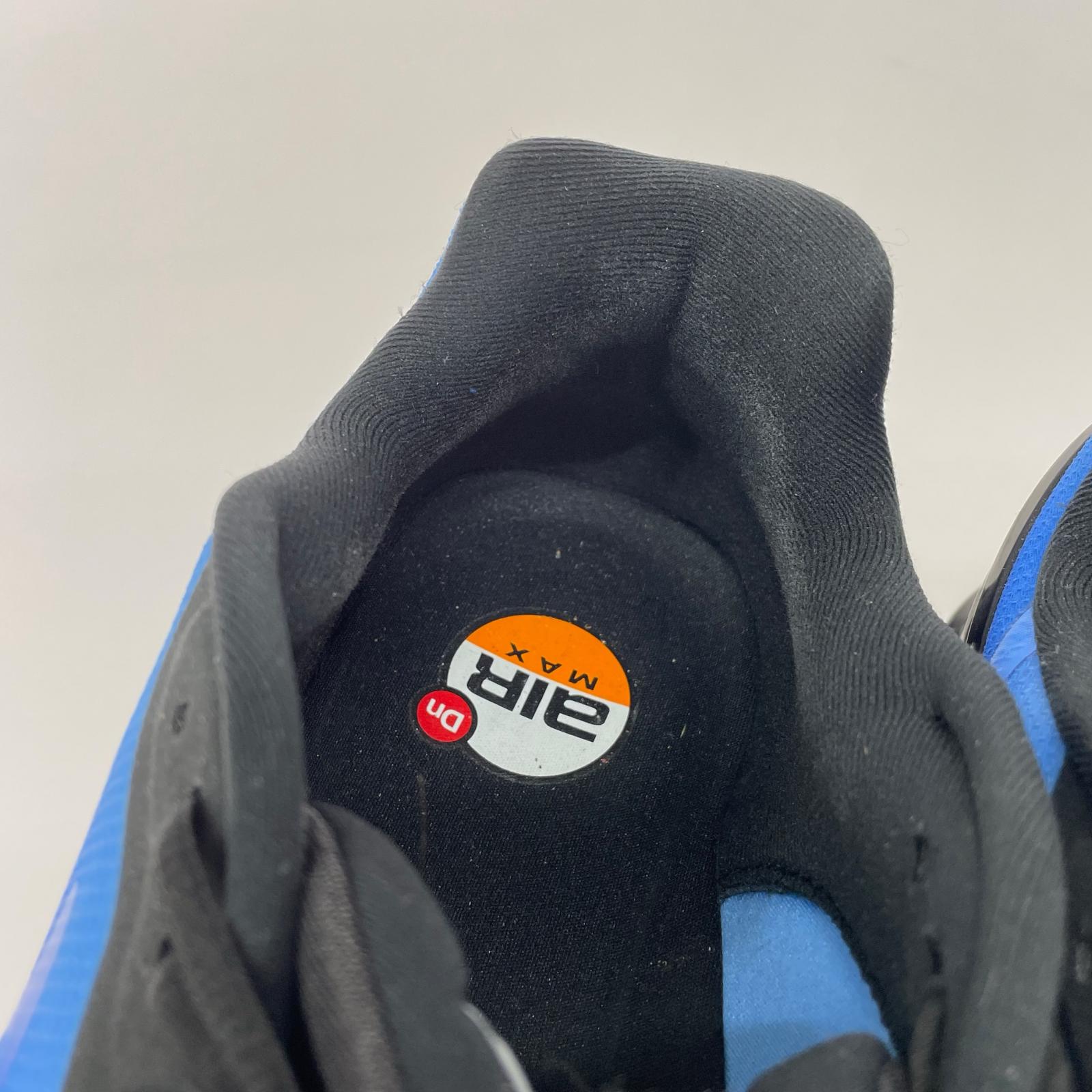 スニーカー air max hyper royal 29cm 29cm (US11 UK10 1/2 EU48) ブルー