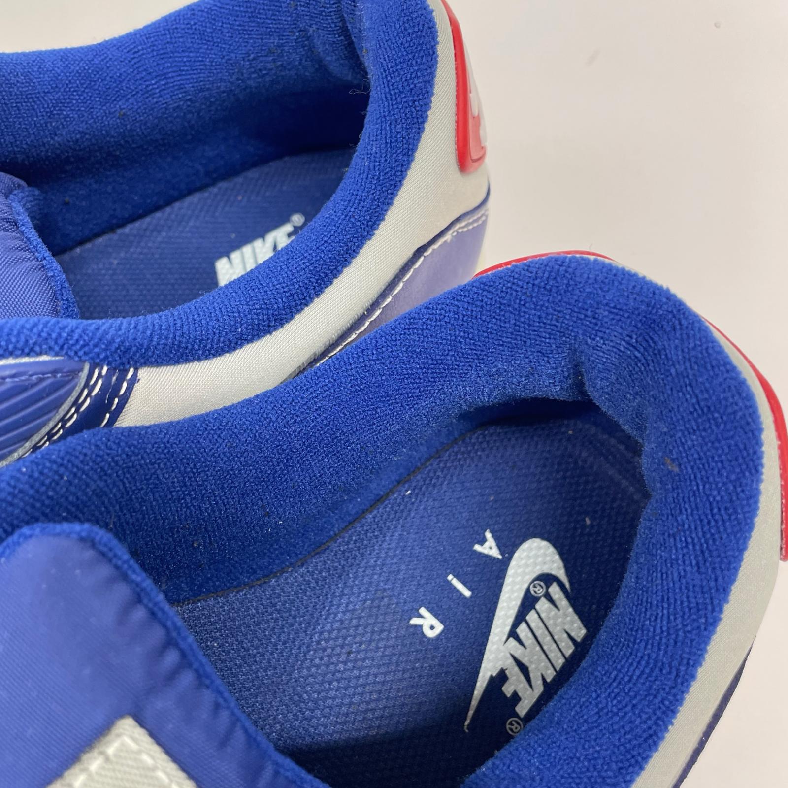 スニーカー AIR MAX 90 PIRATE RADIO DD8457-400 29cm 29cm (US11 UK10 1/2 EU48)