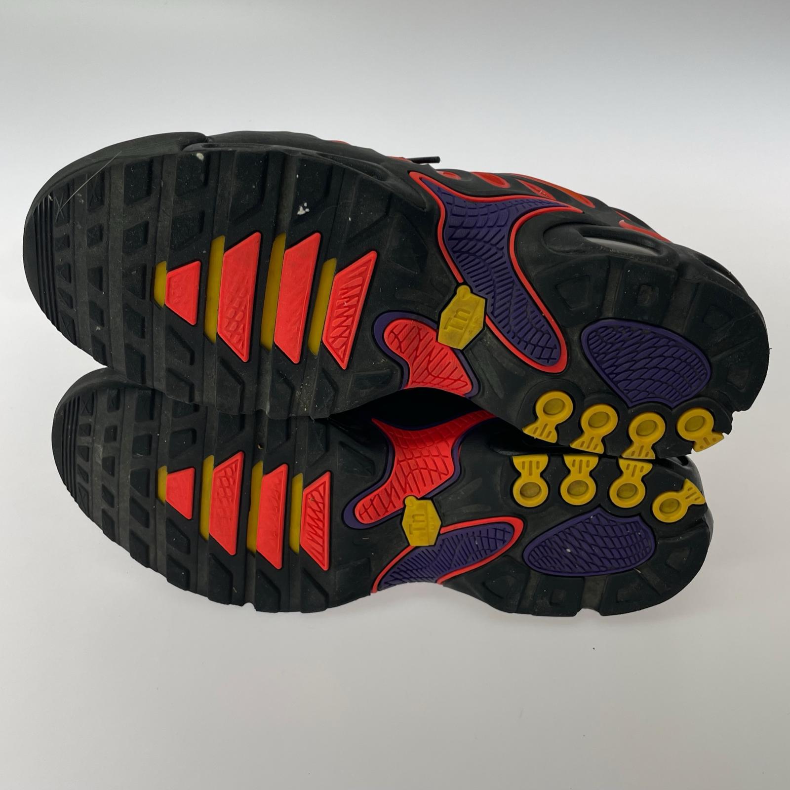 スニーカー AIR MAX PLUS DRIFT FD4290-003(29cm) 29cm (US11 UK10 1/2 EU48) マルチカラー