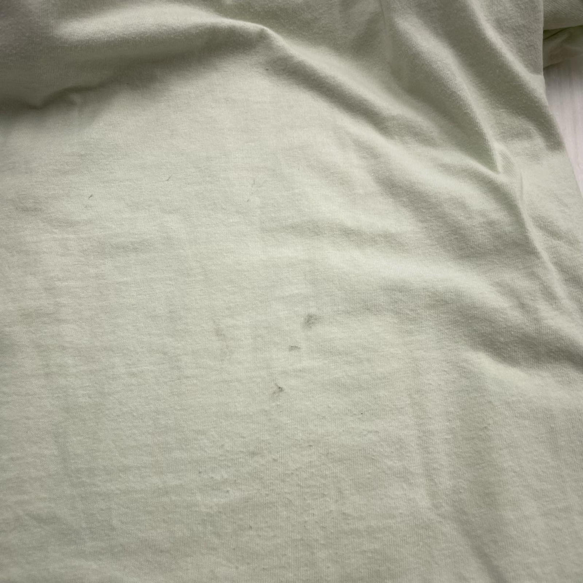 半袖Tシャツ ミントグリーン L グリーン
