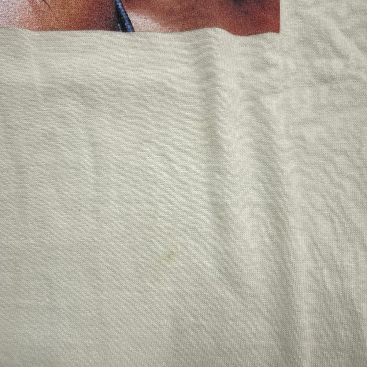 半袖Tシャツ ミントグリーン L グリーン