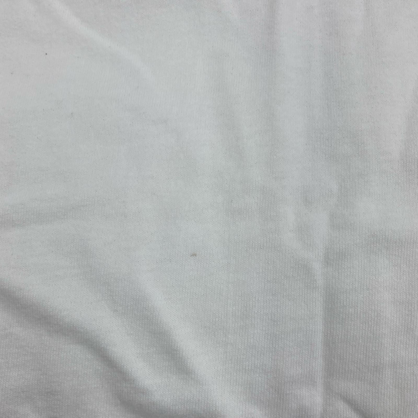 半袖Tシャツ 90s anvilボディ The Rolling Stones GIANTS STADIUM LIVE 白 (XL) ホワイト