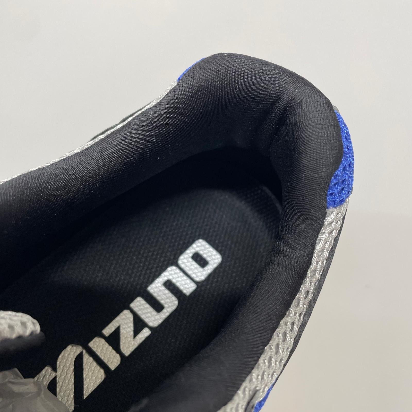 スニーカー WAVE RIDER 10 29.0cm US11 29cm (US11 UK10 1/2 EU48) シルバー
