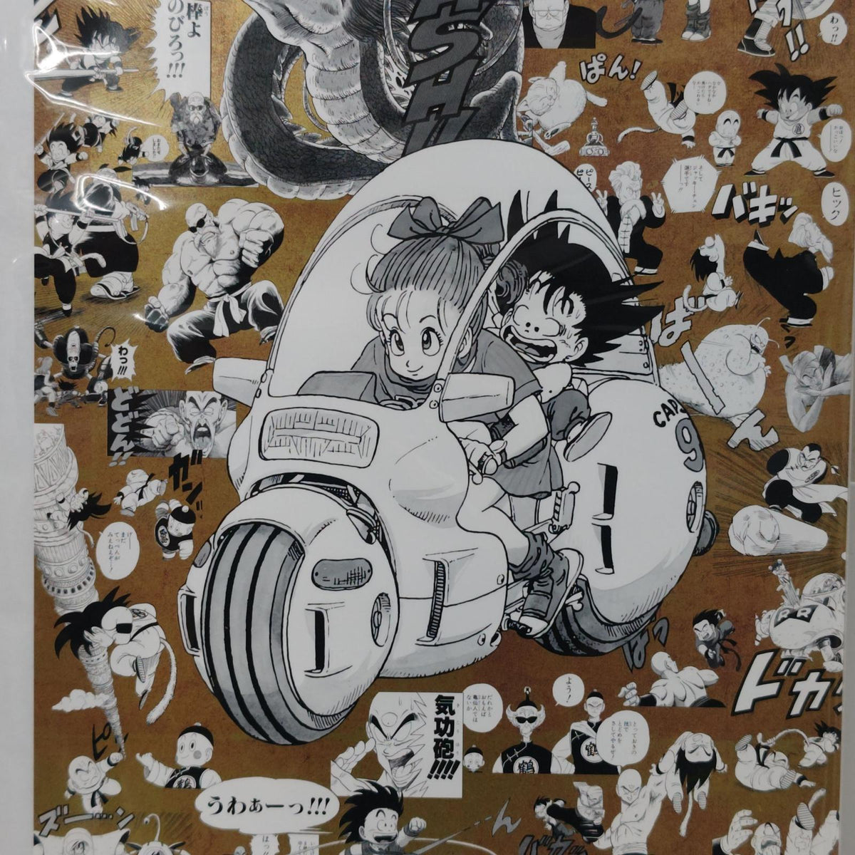 ドラゴンボール EXPO2025 特殊加工印刷ポスター ドラゴンボールシリーズ/DRAGON BALLシリーズ 大日本印刷株式会社 フィギュア/グッズ