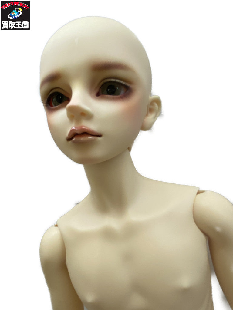 ボークス SDGr 男の子 テオ 星間学寮 ドールその他