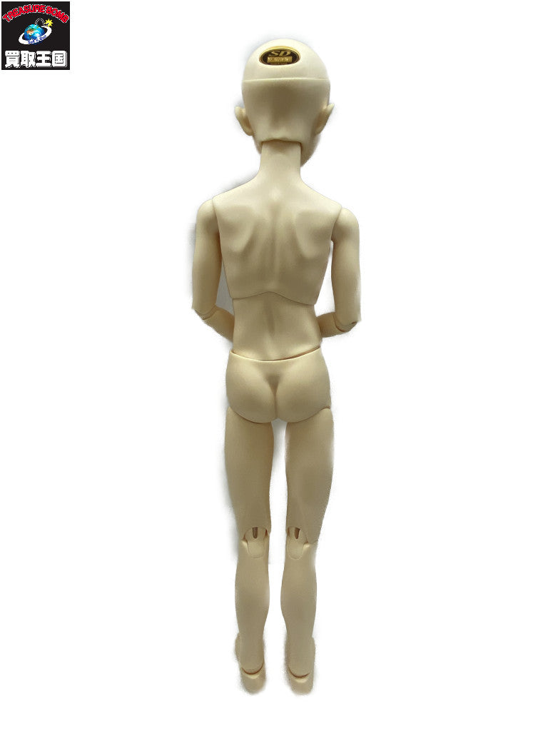 ボークス SDGr 男の子 テオ 星間学寮 ドールその他