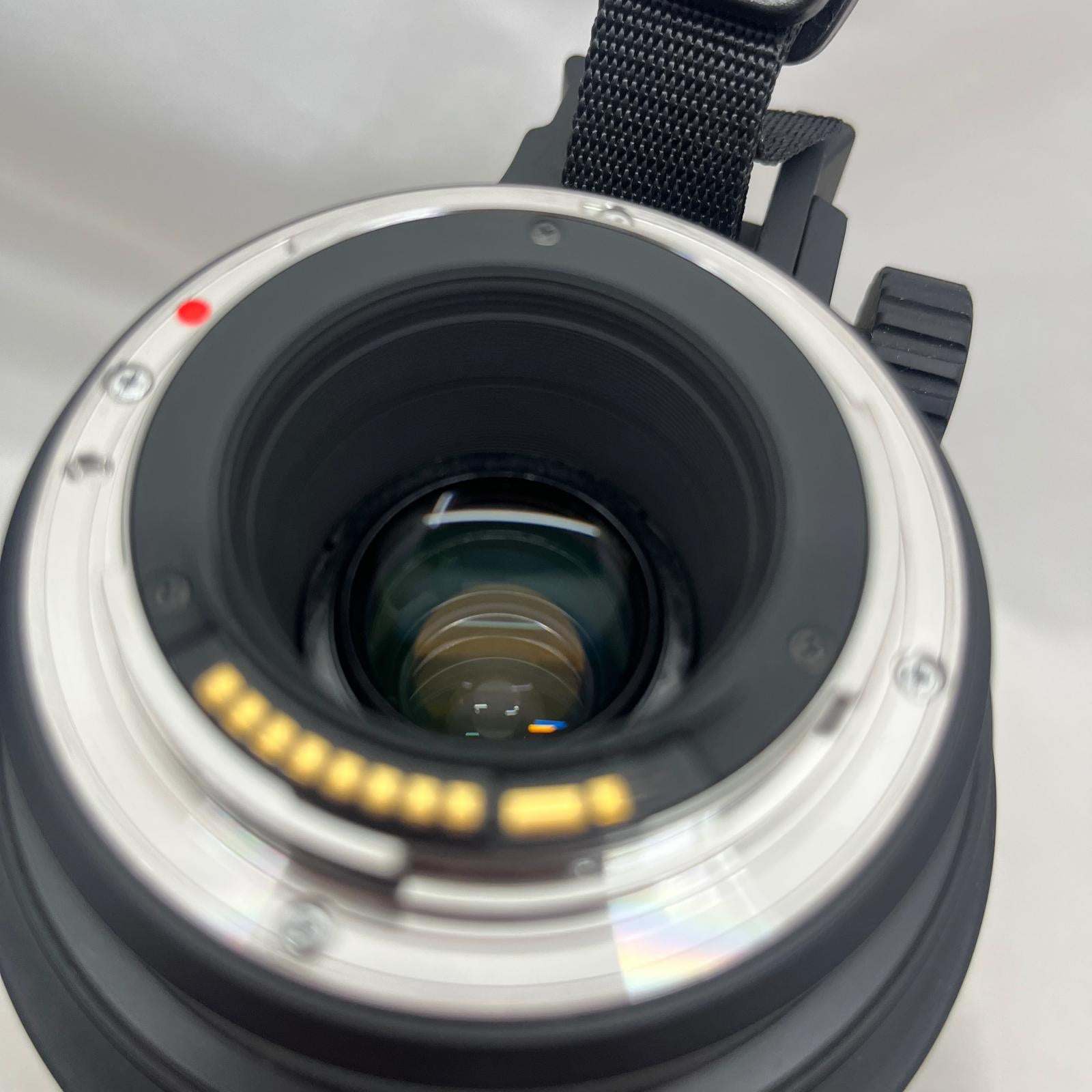 Sigma APO 50-500mm F4.5-6.3 DG OS HSM 交換レンズ