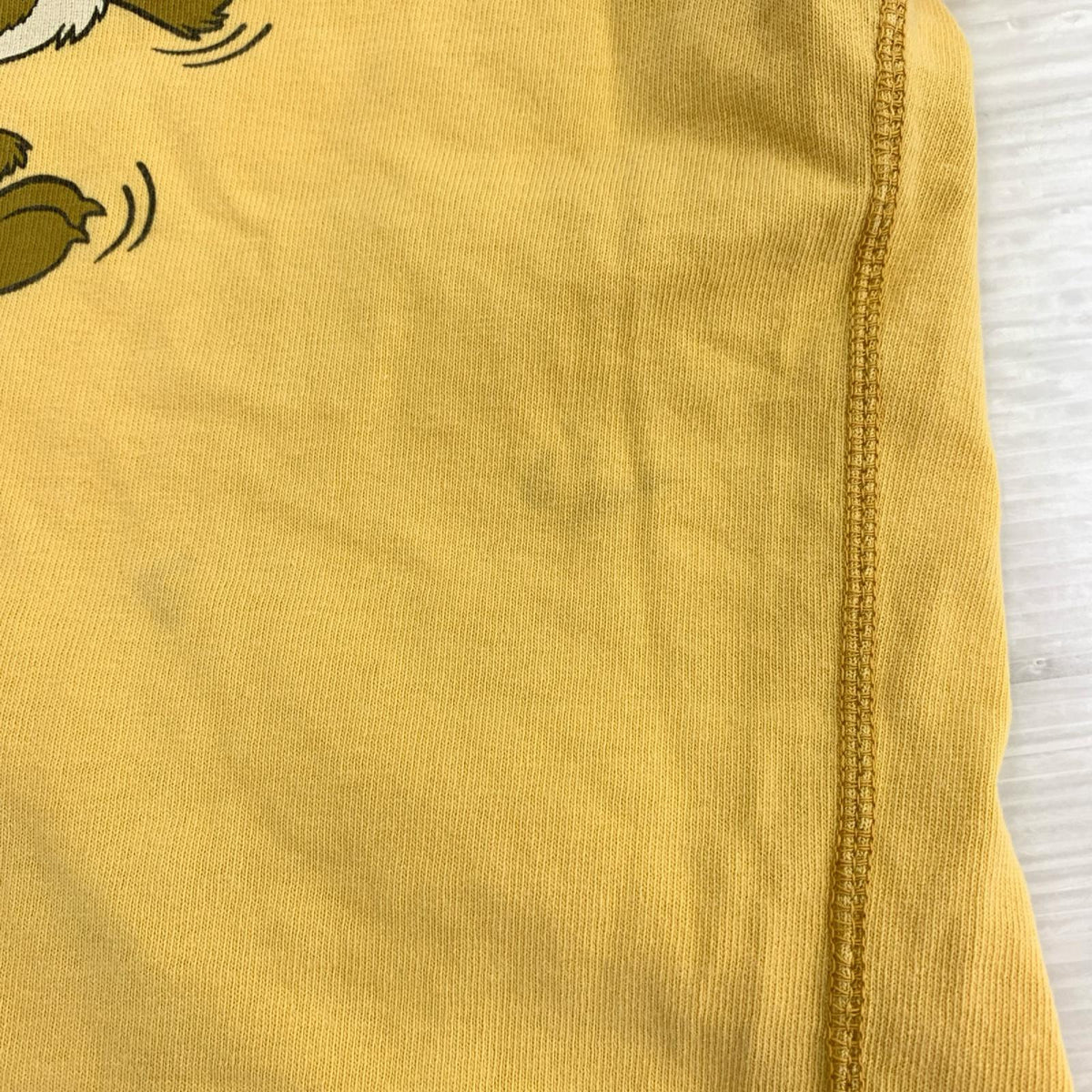 半袖Tシャツ ワイリーコヨーテ (M) M