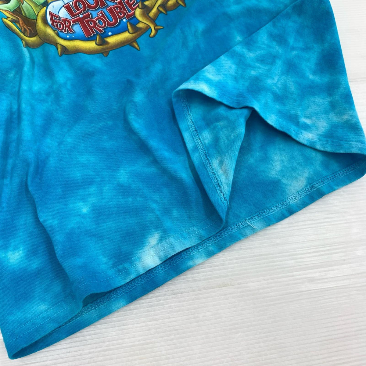半袖Tシャツ DisneyParks SPLASH MOUNTAIN (L) L