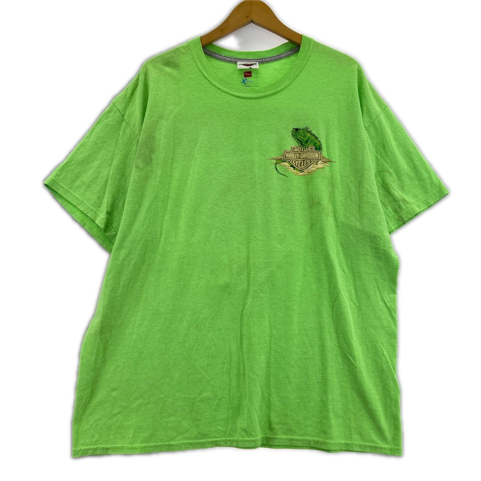 半袖Tシャツ Harley-Davidson カメレオン S/STEE 緑 (XL) グリーン