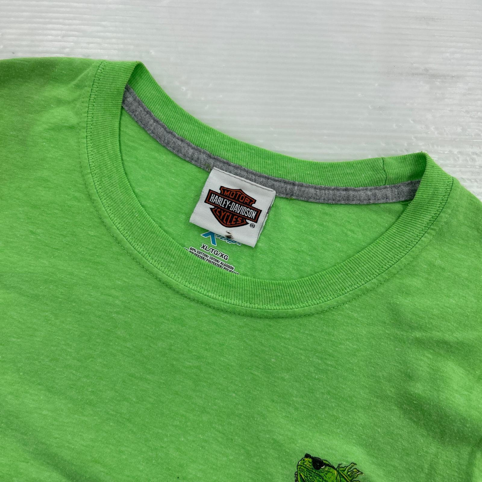 半袖Tシャツ Harley-Davidson カメレオン S/STEE 緑 (XL) グリーン
