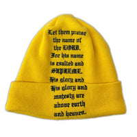 ニットキャップ × new era 23fw