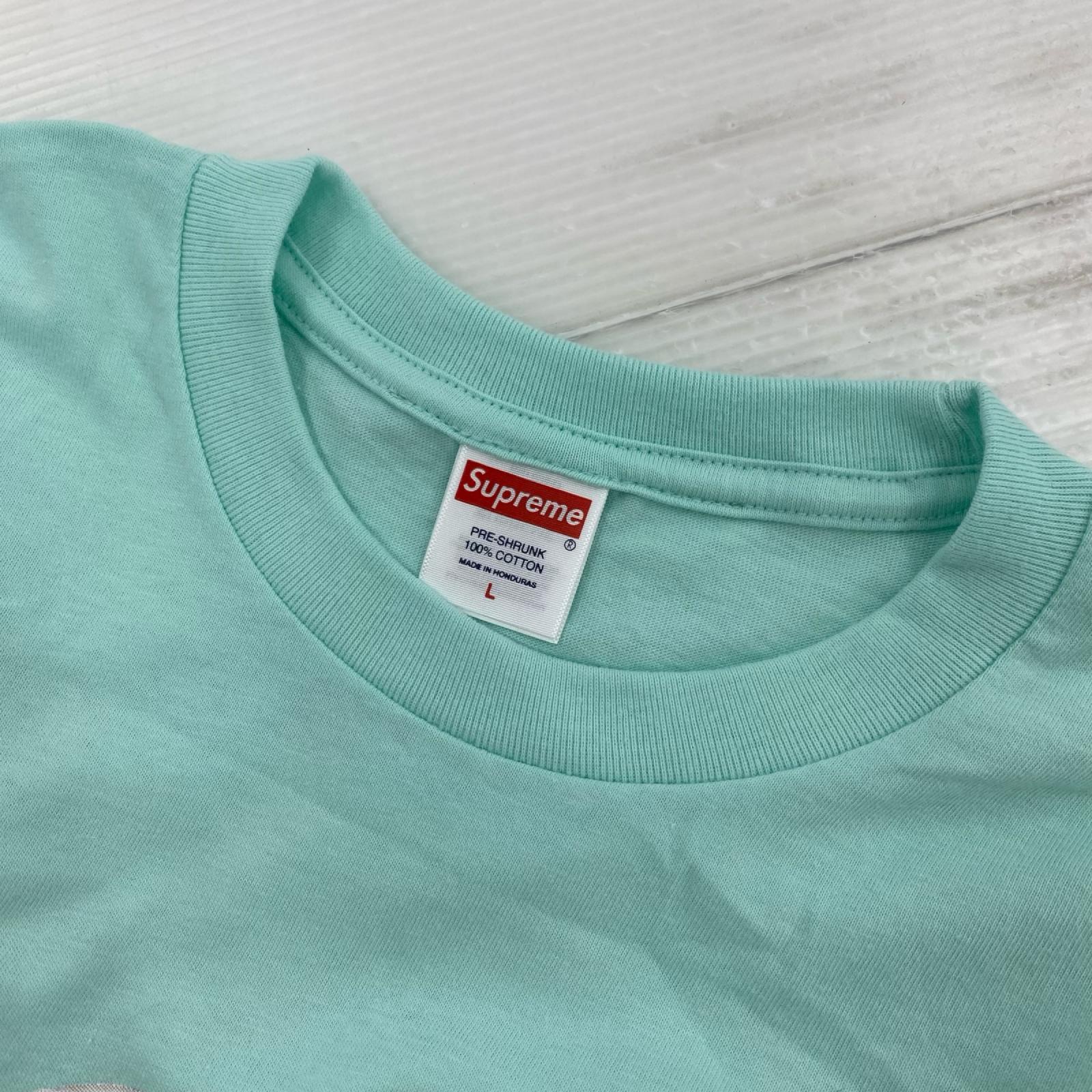 半袖Tシャツ SKUNK TEE LIGHT BLUE (L) L グリーン