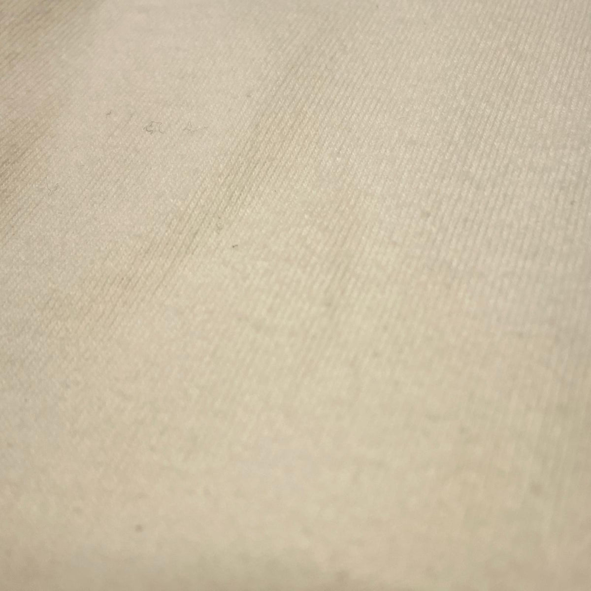 半袖Tシャツ 90s TACO BELL チワワ プリントTシャツ 1998年 フルーツ2枚タグ LL ホワイト