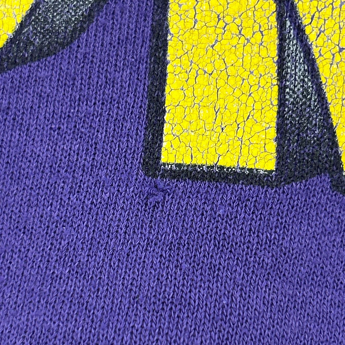 スウェット 90s フルーツタグメキシコ製 Grapevine Asia 紫 (XL) パープル