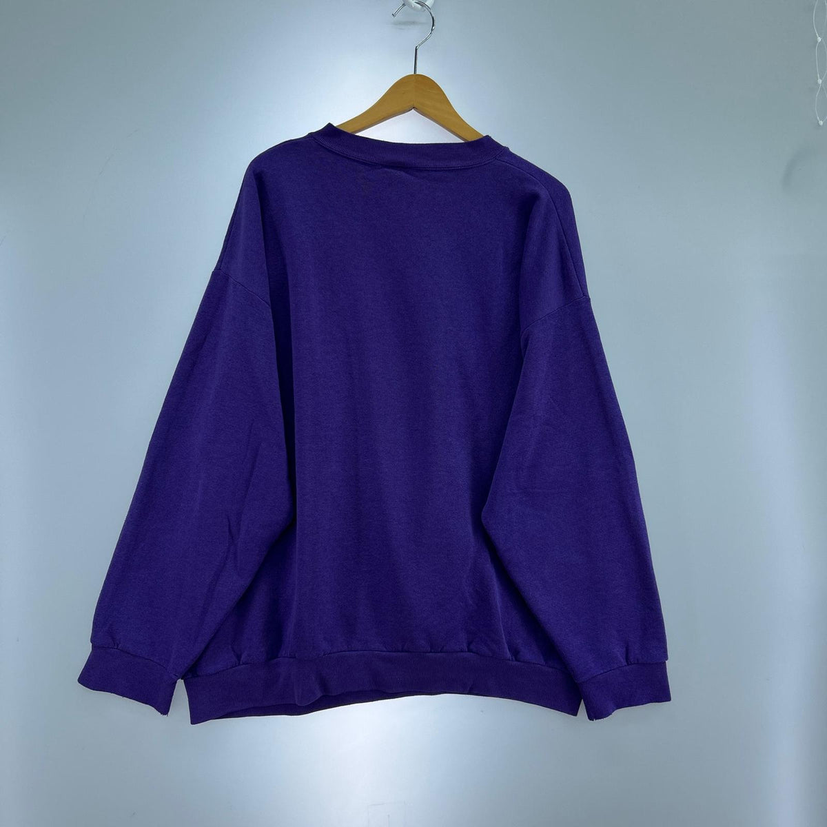スウェット 90s フルーツタグメキシコ製 Grapevine Asia 紫 (XL) パープル