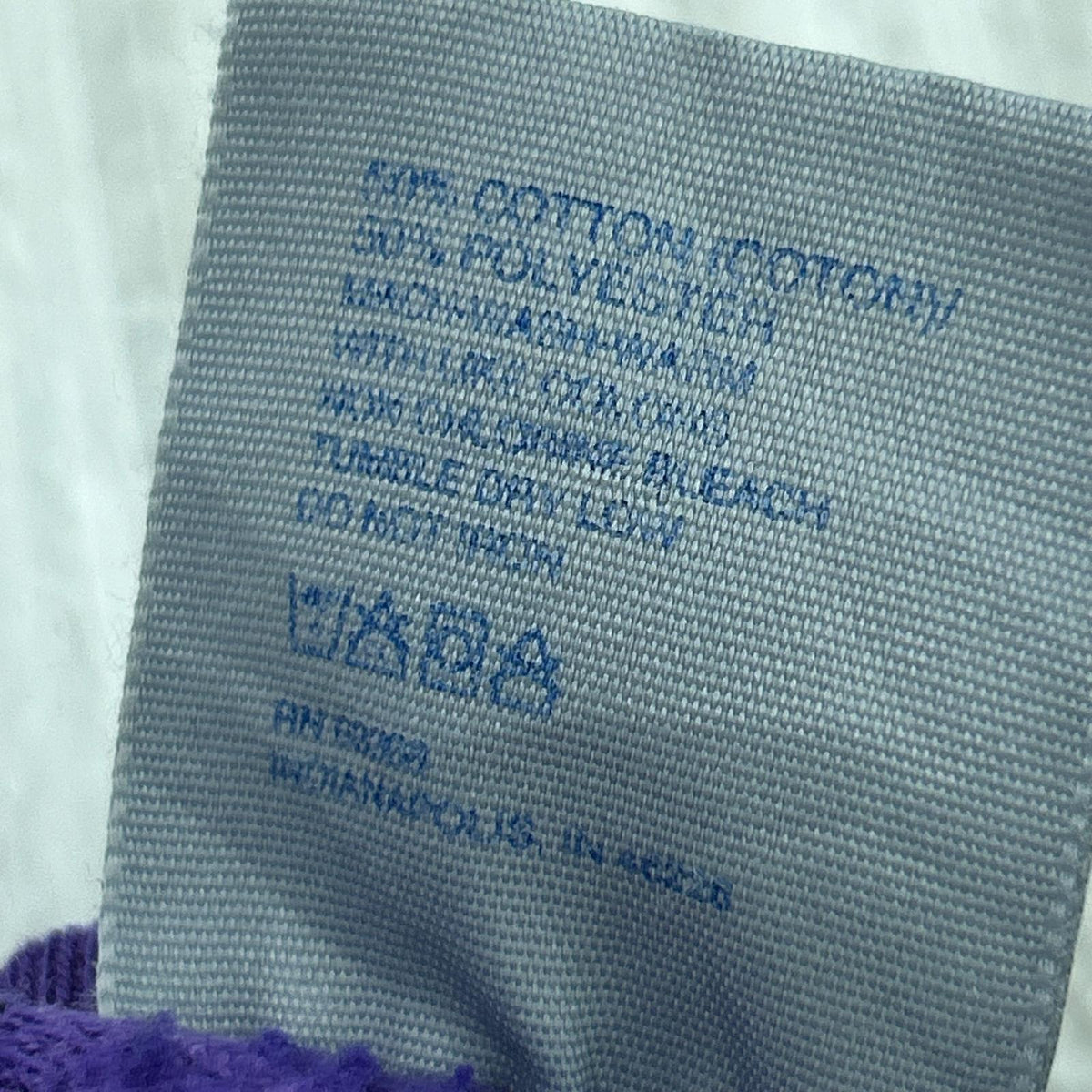 スウェット 90s フルーツタグメキシコ製 Grapevine Asia 紫 (XL) パープル