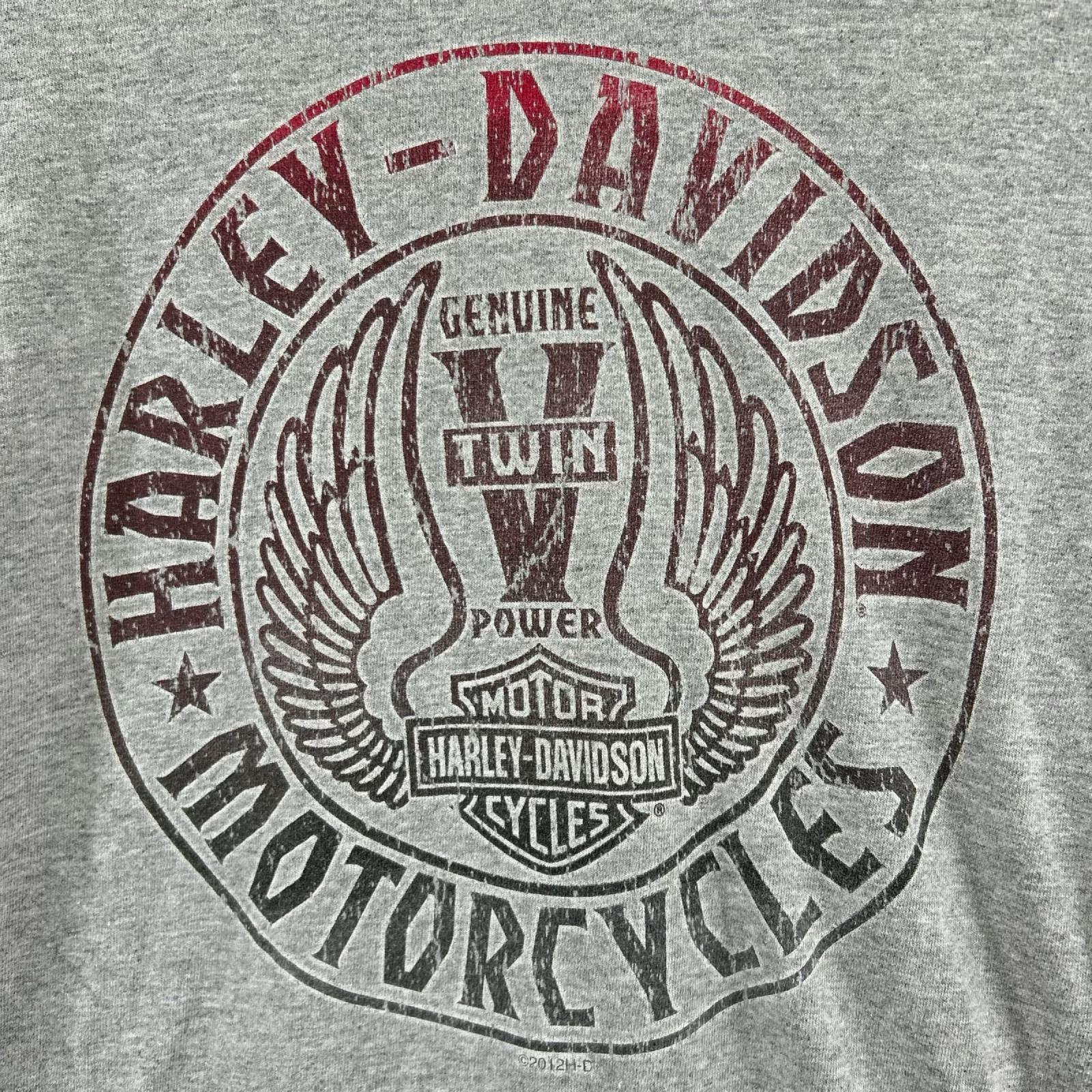 長袖Tシャツ ビッグロゴ グレー グレー