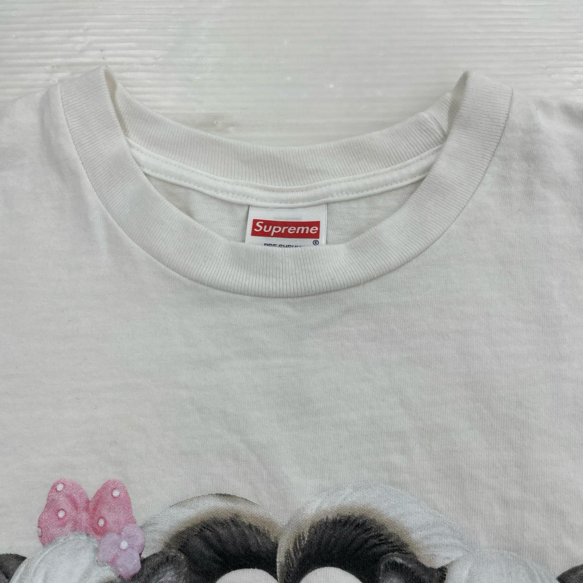 半袖Tシャツ 26SS Skunk Tee White M M ホワイト