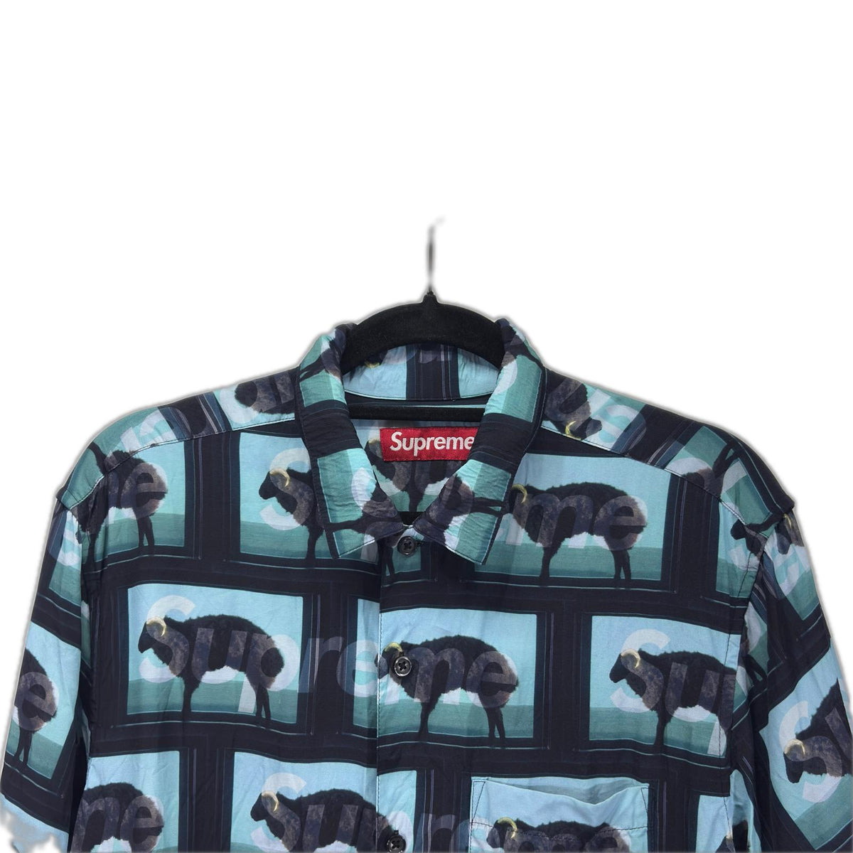 半袖シャツ 25SS Damien Hirst S/S Shirt