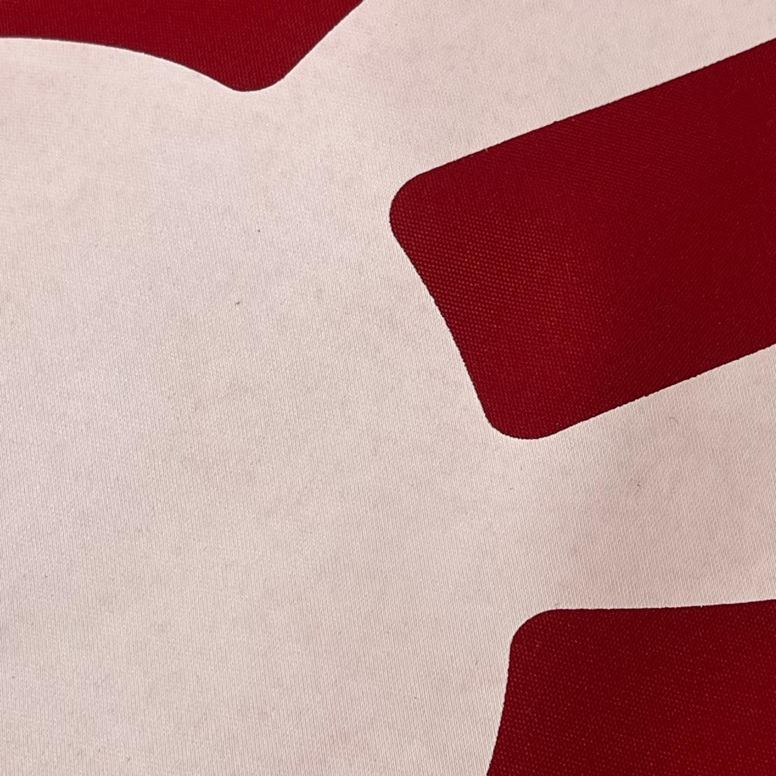 リュック・デイパック RED レッド