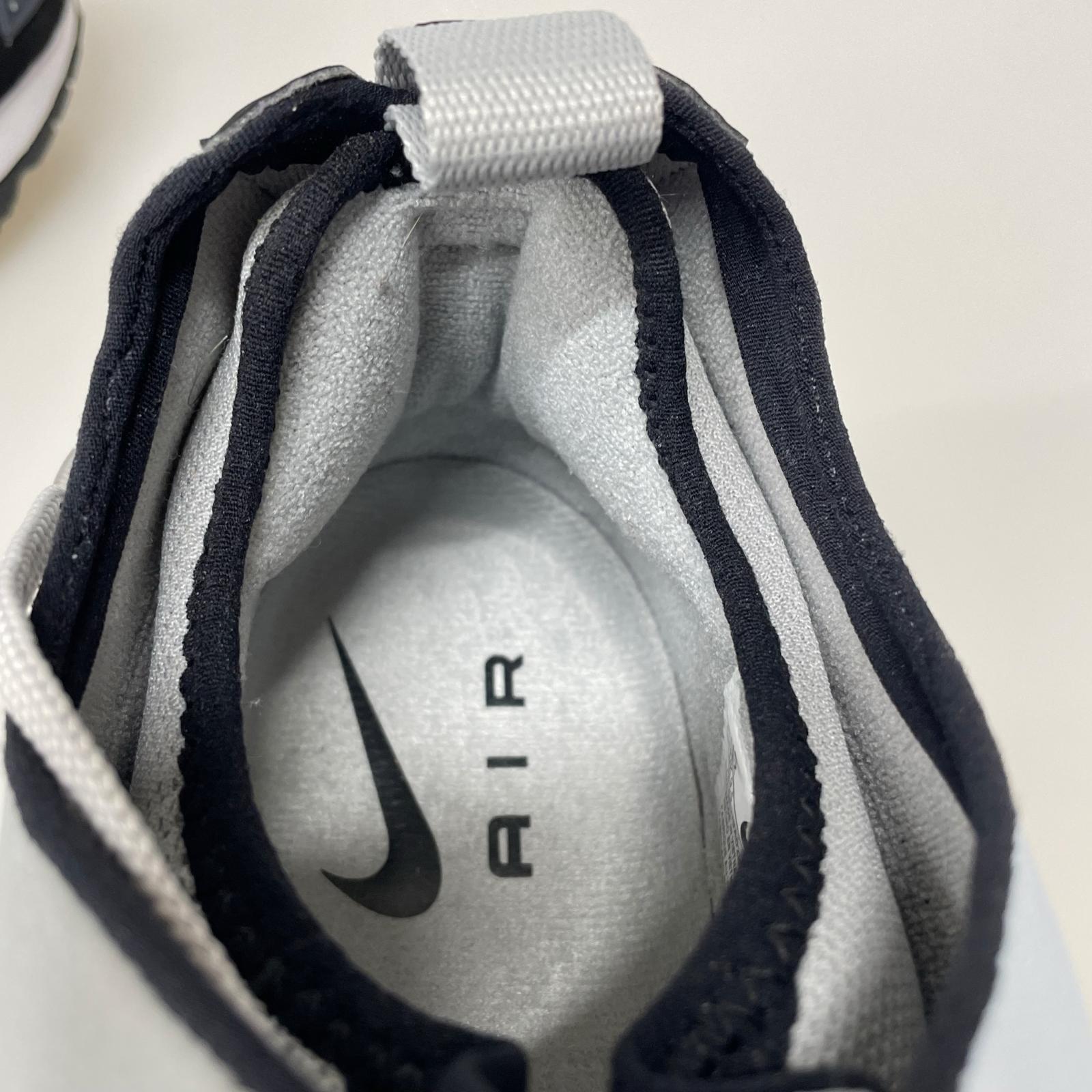 スニーカー air max sndr 29㎝ 29cm (US11 UK10 1/2 EU48) グレー