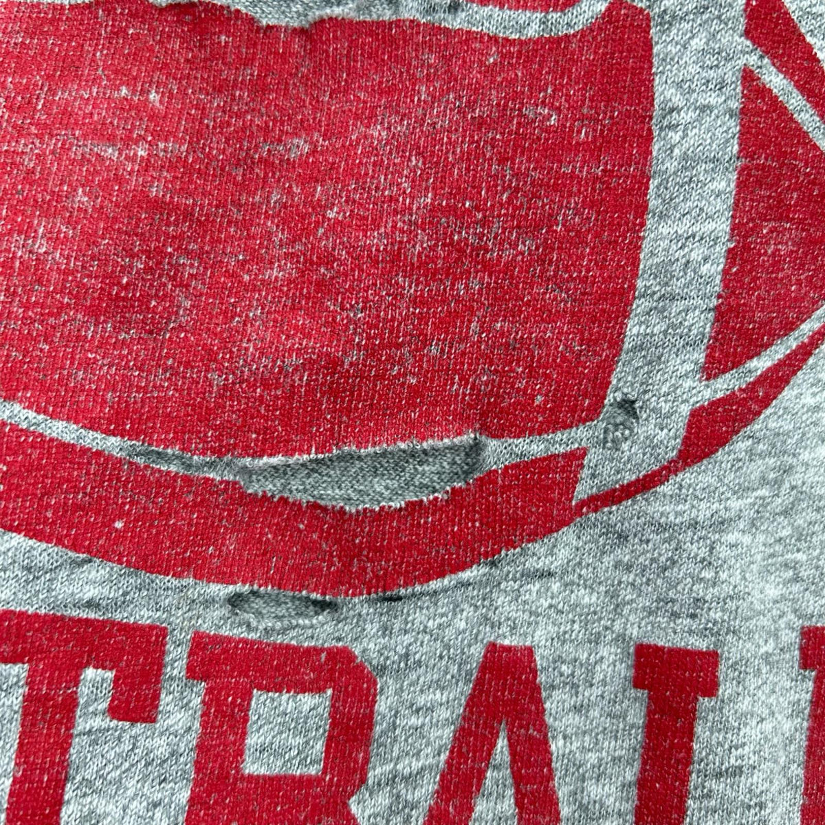 半袖Tシャツ 80s 霜降り カレッジロゴTee GRY グレー
