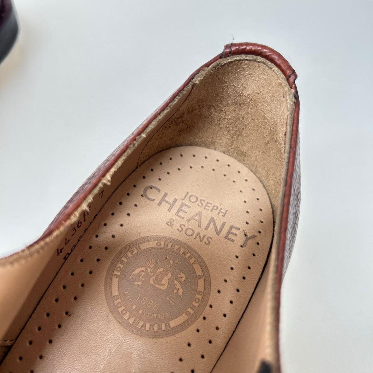 シューズ MALVERN C BURGUNDY GRAIN ブラウン