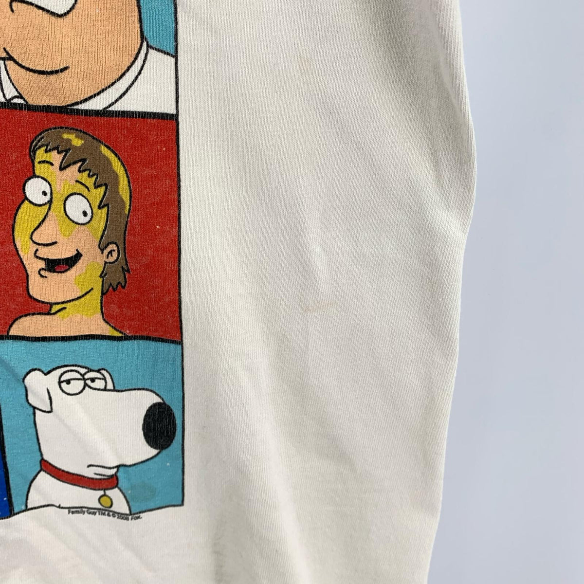 半袖Tシャツ FRUIT OF THE LOOM Family Guy(S)ホワイト S ホワイト