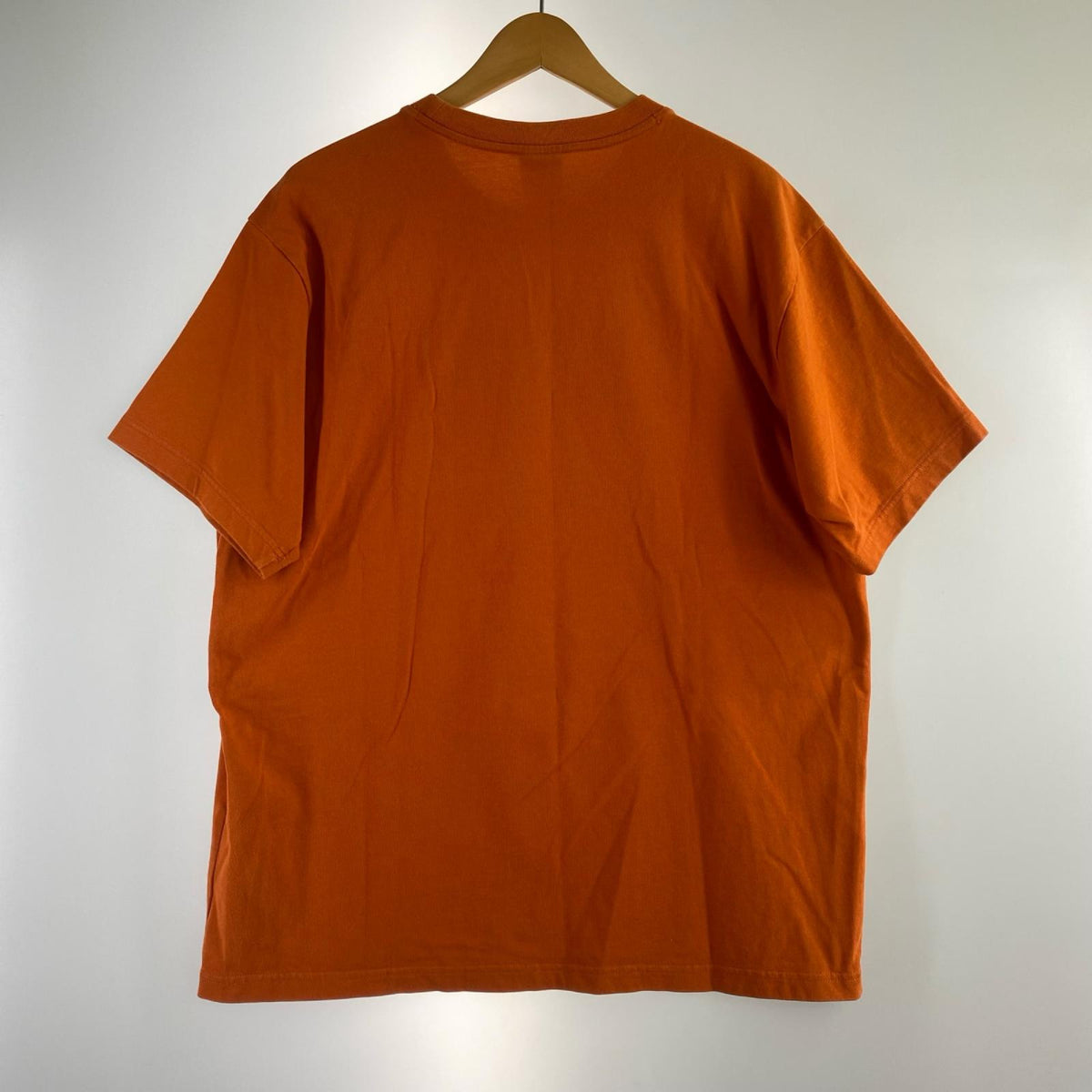 半袖Tシャツ NIKE ACG オレンジ L L オレンジ