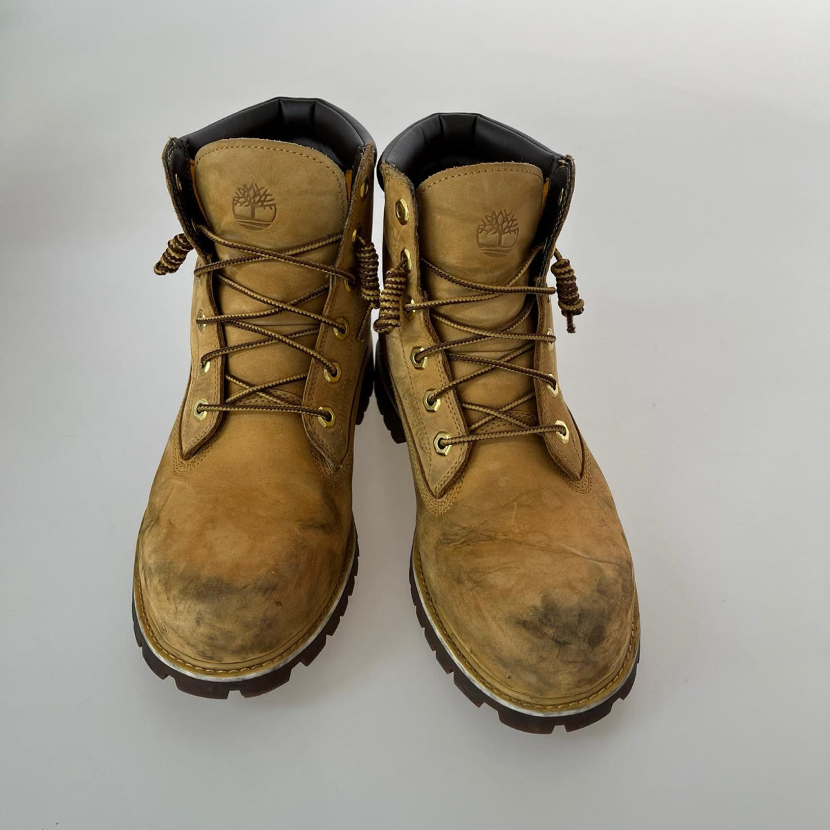 ブーツ ALBURN 6-INCH WATERPROOF BOOT キャメル 26cm (US8 UK7 1/2 EU42) ブラウン
