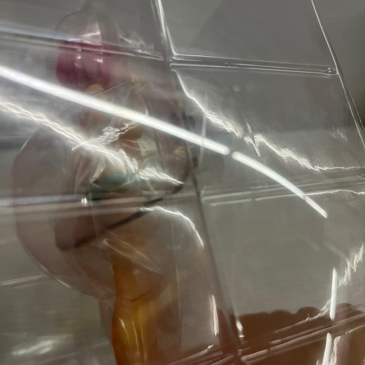 POP UP PARADE To LOVEる ダークネス モモ To LOVEる フィギュア/グッズ