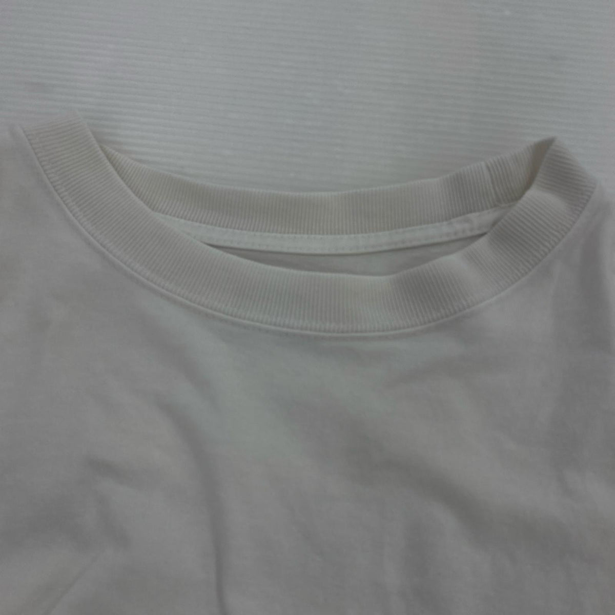 半袖Tシャツ 20th ANIIVERSARY 白 (XL) ホワイト