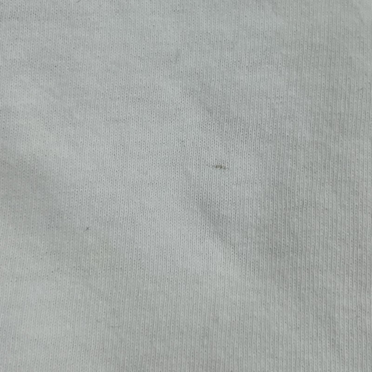 半袖Tシャツ 00S フレイム 白 (XL) ホワイト