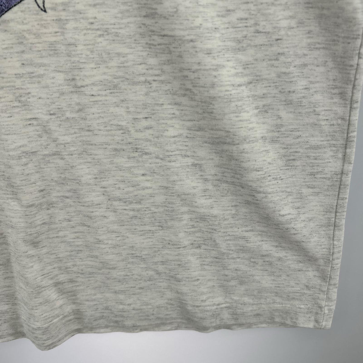 半袖Tシャツ 90S アインシュタイン E=mc2 グレー (-) グレー