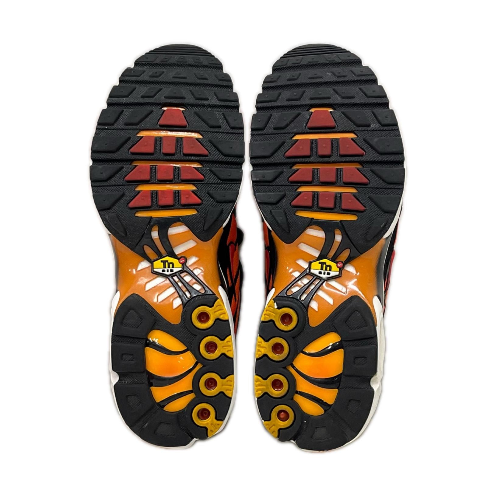スニーカー NIKE AIR MAX PLUS 25㎝ オレンジ 25cm (US7 UK6 1/2 EU40)