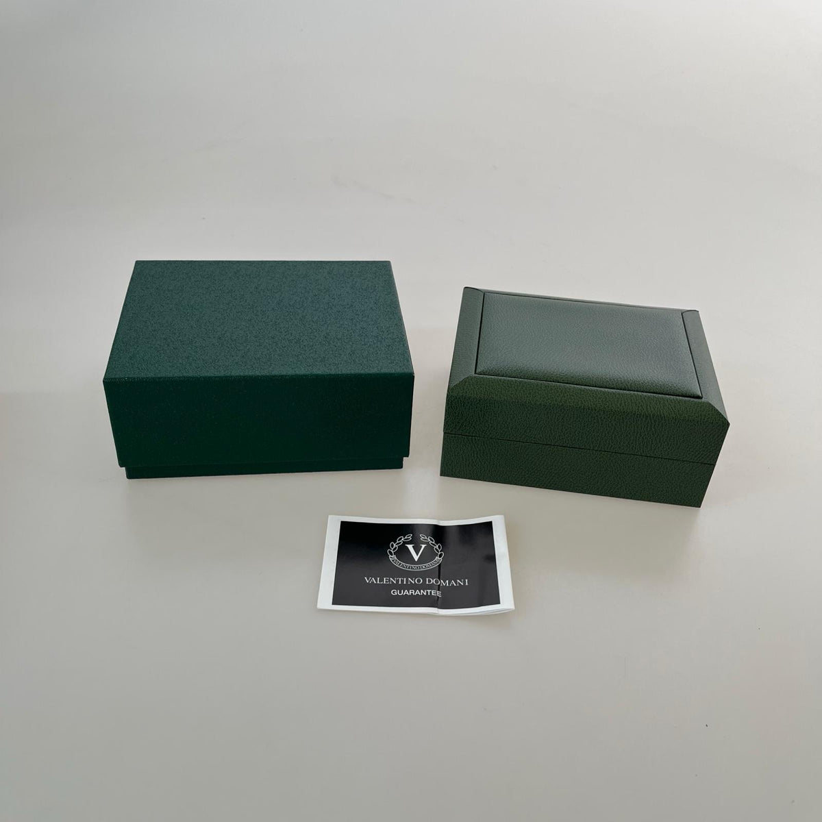 腕時計 VALENTINO DOMANI VD006