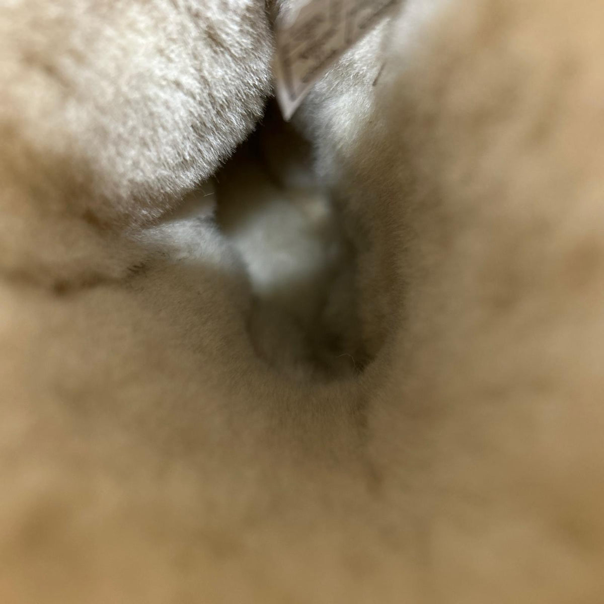 ブーツ ボアブーツ australia CLASSIC SHORT 1016223 24cm (US6 UK5 1/2 EU38) ブラウン