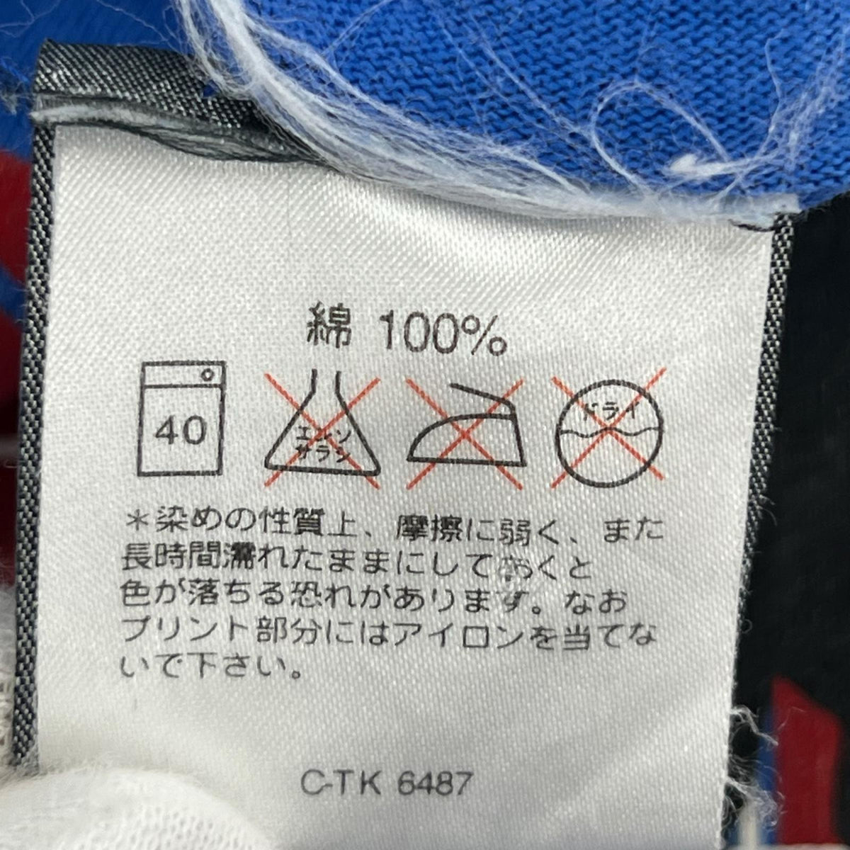 半袖Tシャツ 90s COSPA Cyber Graphics 悪 Tシャツ(L) L ブルー