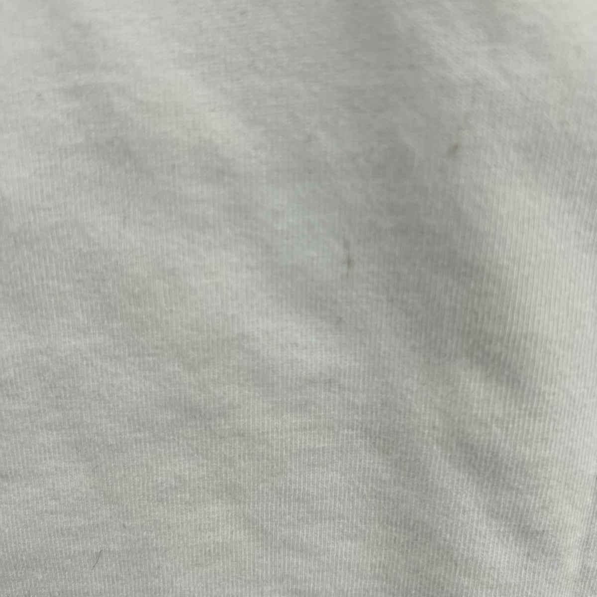 半袖Tシャツ 25SS BANDANA OG LABEL TEE-L L ホワイト