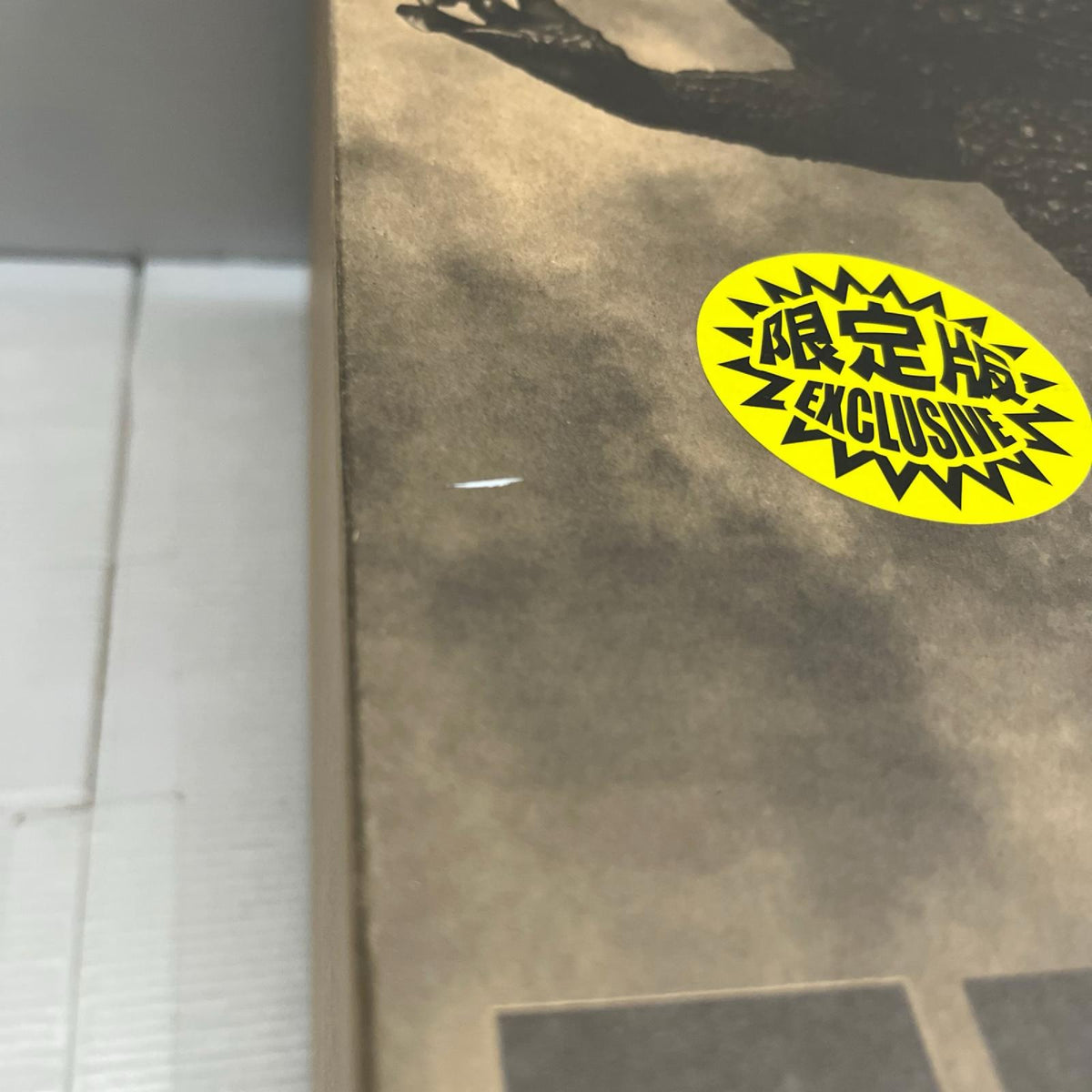 東宝30cmシリーズゴジラ2023 ゴジラ フィギュア/グッズ