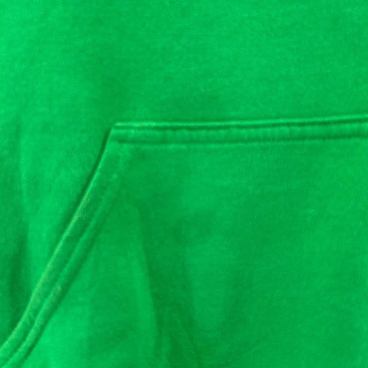 パーカー Phenway Phish Hooded 緑 (M) M グリーン