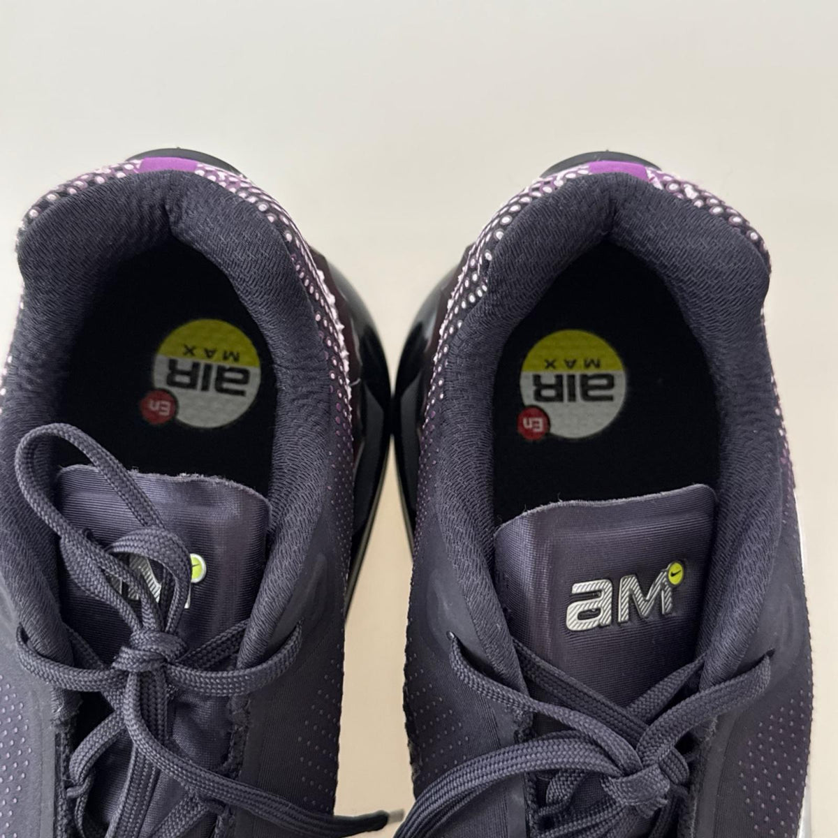 スニーカー Air Max Phoenix/29cm/FZ5307-500 29cm (US11 UK10 1/2 EU48) パープル